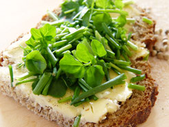 Chiabrot Rezept Chia Samen Dinkel Vollkorn gesund
