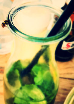 wasp, home-made-lemonade