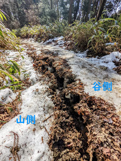 写真４a　裂けて段差ができた遊歩道