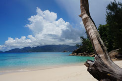 Anse Soleil, sunnybeetravel, Inselparadiese, Mahé, sunnybeetravel, seychellen