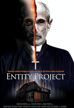 Entity Project (2019) 