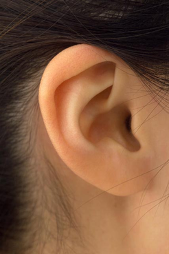 耳ツボダイエット　耳の５つのツボに金粒と言う小さなつぶをつけていきます。