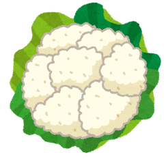 かぶらぎ整骨院・整体院ブログ カリフラワーライスイメージイラスト