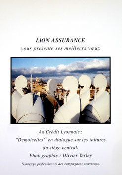 Les demoiselles, Vœux Lion- assurances