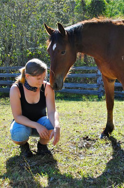 Natural Horsemanship, Problempferd, Verbindung zum Pferd, Kommunikation mit Pferden, Pferde zähmen