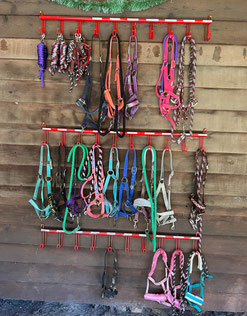 Halter racks at Pony Gang Equestrian Services 