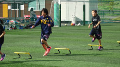 SAQトレーニング