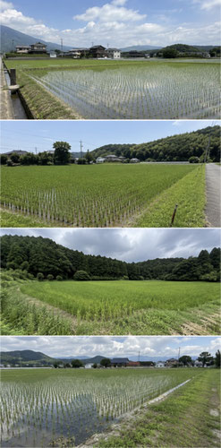 ※画像はイメージです