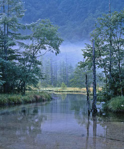 夏の田代池）全紙