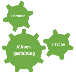 Für das Alltgsmanagement schauen wir uns deine Psyche, deine Hormone und deine Alltagsgestaltung an.