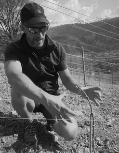 Yann Pernuit - Domaine Belema