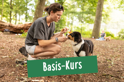 Frau belohnt ihren Hund beim Hundetraining im Basis Kurs
