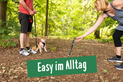 Hundetrainerin und Hundebesitzer machen im Kurs in der Hundeschule in Hamburg Altona eine Übung mit dem Hund