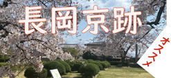 長岡京跡