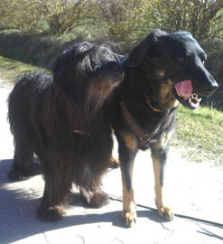 Timmi und Momo