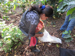 Emptying the ergonomic coffee bag (Photo credits: Kate Stewart)