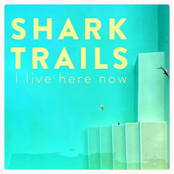 SHARK TRAILS - Live here now EP