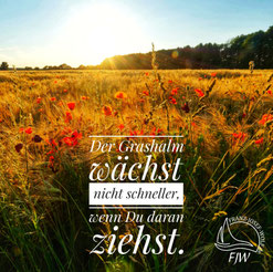 (vergrößern > anklicken)