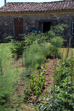Unser Gemüse-Garten