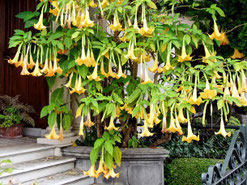 Foto: iStock