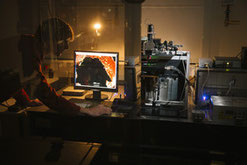 Für eine schnelle Krebs-Diagnostik: Tobias Meyer-Zedler vom Leibniz-IPHT erforscht laserbasierte, multimodale Bildgebungsverfahren, um Biomoleküle in Zellen, Geweben und Organen darzustellen. // Foto: Sven Döring/ Leibniz-IPHT