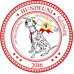 neue HUNDEUNI