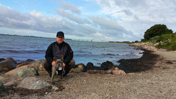 Ben mit Herrchen am Wulfener Strand ( Foto: Fam. K.)