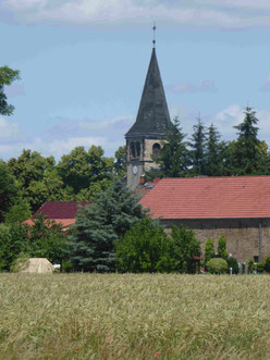 Fast zurück in Kerzendorf