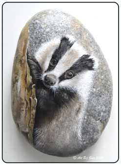 Fotoboek Rock-Art