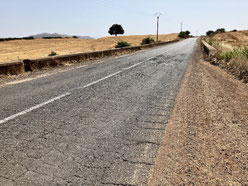 国道29号線現況道路状況(舗装劣化)