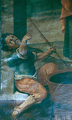Olmo - détail