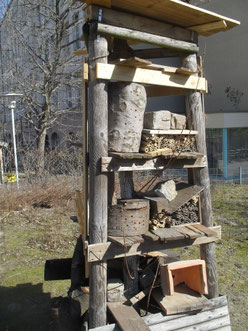 Hier entsteht ein Wildbienen-Nisthifen-Stand.