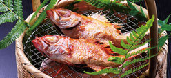 夕食イメージ