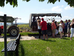 Planwagenfahrt in die Weinreben