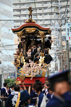 　　　　屋根の上で日和見する狸