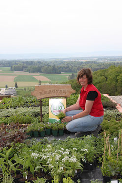 Martina Kirnstötter auf einem Kräuterbeet mit Blick auf Schwand