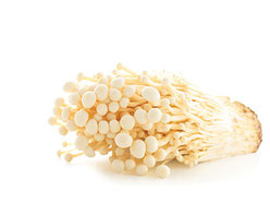 Enoki Vitalpilz für Tiere zur Unterstützung des Immunsystems und der allgemeinen Stabilität