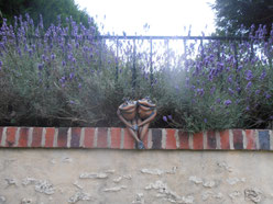 le banc du gite abbecourt beauvais