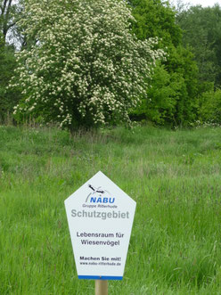 Unsere Wiesenfläche am Mittelkampsweg
