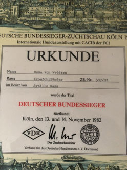 Penny schaffte es bis zur Bundessiegerin