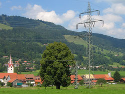 In einem landschaftspflegerischen Begleitplan wurde der Eingriff erfasst, bilanziert und Ausgleichsmaßnahmen festsgeschrieben