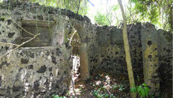 Ruins of a house.