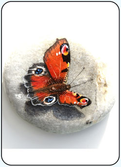 Rock-Art Insecten