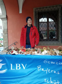 Herbstmarkt Nea 2022 mit Pilzsachverständigem Thiemo Rudolf  ©Margareta Loscher