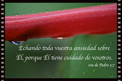 1ra de Pedro 5:7