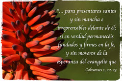 Colosenses 1, 22-23