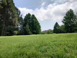夏の終わり