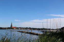 Blick auf die Schlei vom Ufer aus, im Hintergrund der Dom von Schleswig LandFrauen Hennstedt