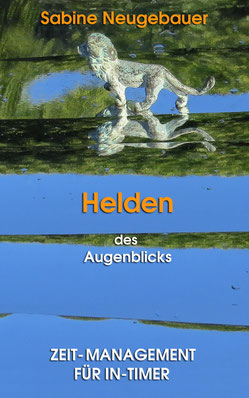 Buch "Helden des Augenblicks, Neugebauer, 2014