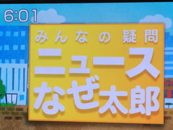 テレビ朝日「みんなの疑問ニュースなぜ太郎」で津波シェルターHIKARiが紹介